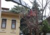 Bursa Büyükşehir ekipleri, şiddetli rüzgara karşı sahada 36582 mty5nwy4ot 4