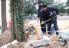 Osmangazi’de Parklar Yenileniyor parklar (1)