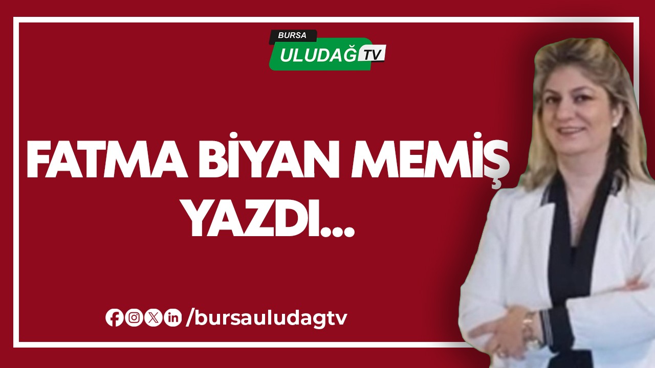 whatsapp image 2026 01 05 at 15.41.16 (3)