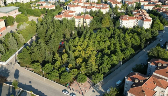 c311eacfc46dee9ee0ef07cdc131cdb359fcace5