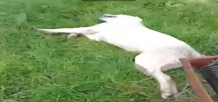 ekran görüntüsü 2026 02 04 132605