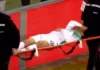 Bursaspor’da üzücü sakatlık!