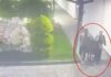 Bursa’da Yüsra’nın ölümüyle flaş gelişme: 15 doktor için soruşturma izni verildi