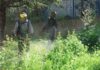 Osmangazi Belediyesi’nden Çevreye Bahar Dokunuşu