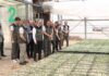 Bursa’da yanan ormanlar, Eskişehir’de üretilen fidanlarla yeşillenecek
