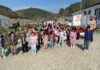 Orhangazi Belediyesi Sokak Hayvanları İçin Çalışmalarını Aralıksız Sürdürüyor