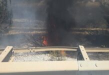 Yol kenarındaki ağaçlık alanda çıkan yangın kontrol altına alındı