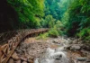 Bursa İnegöl’de doğa turizmi için tarihi adım!