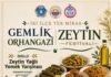 Zeytin Festivali Kapsamında Sihirli Eller Muhteşem Tatlara İmza Atacak