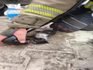 Bursa’da yangında mahsur kalan yavru kedi böyle kurtarıldı