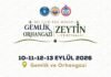 İki İlçe, Tek Miras: Gemlik-Orhangazi Zeytin Festivali Başlıyor