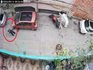 Bursa’da kucağındaki kediye şiddet uygulayan şüpheli yakalandı