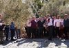 Bursa’nın zeytin mirası Gemlik ve Orhangazi’de yaşatılıyor